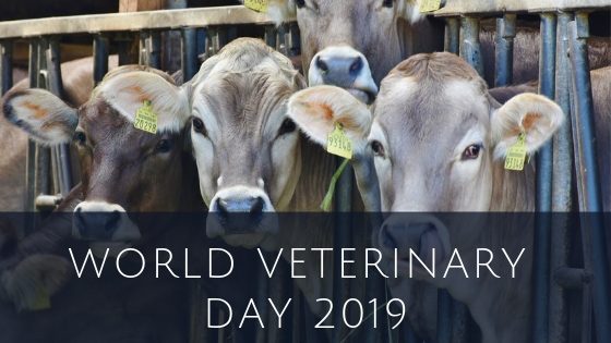 World Veterinary Day 2019