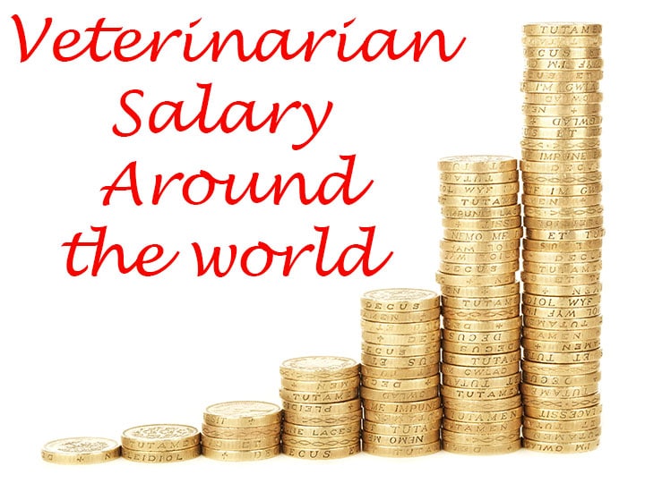 Veterinarian Salary Around the World