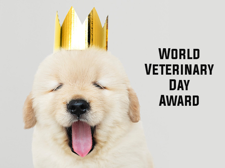 World Veterinary Day Award 2019 Application